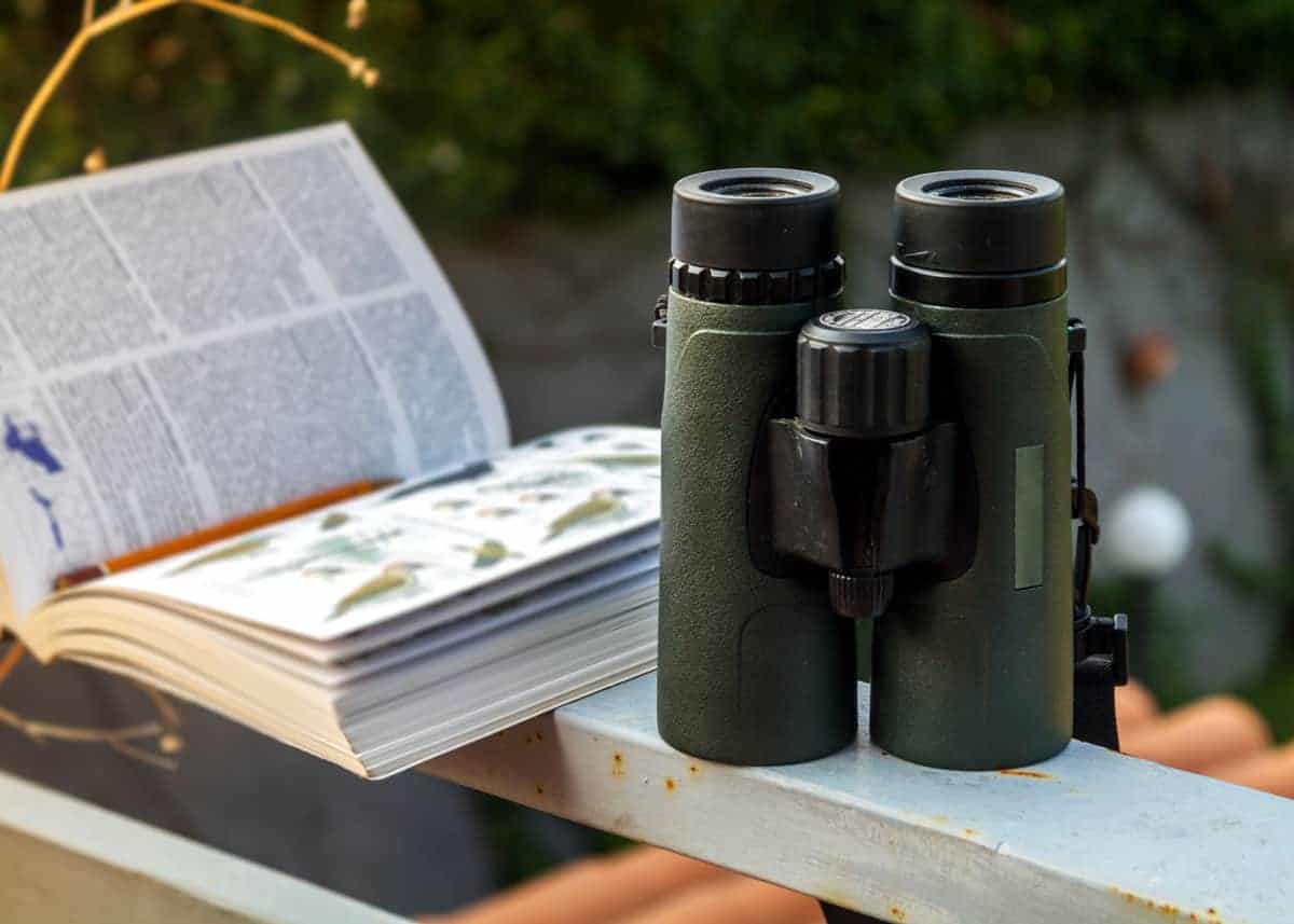Best binoculars 2020: Get closer to nature with the UK's best compact and  full-sized binoculars | Expert Reviews